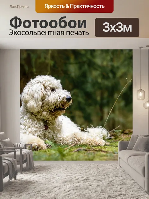 Фотообои Золотой каракули