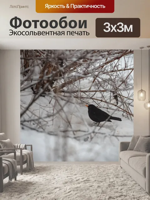 Фотообои Черный дрозд