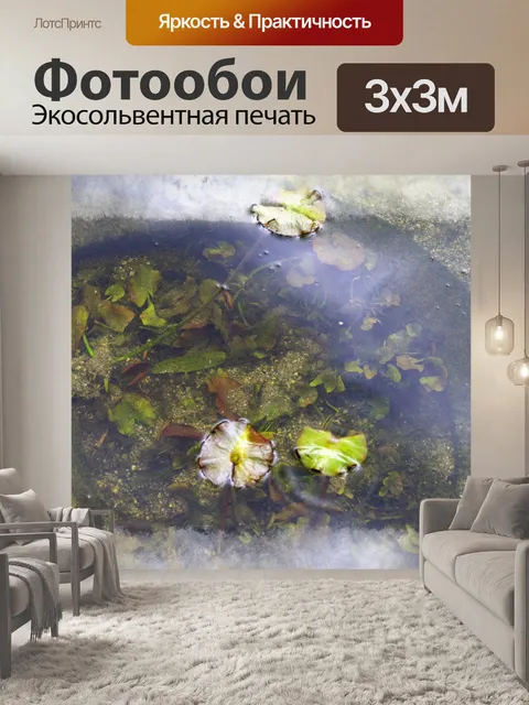 Фотообои маленький пруд