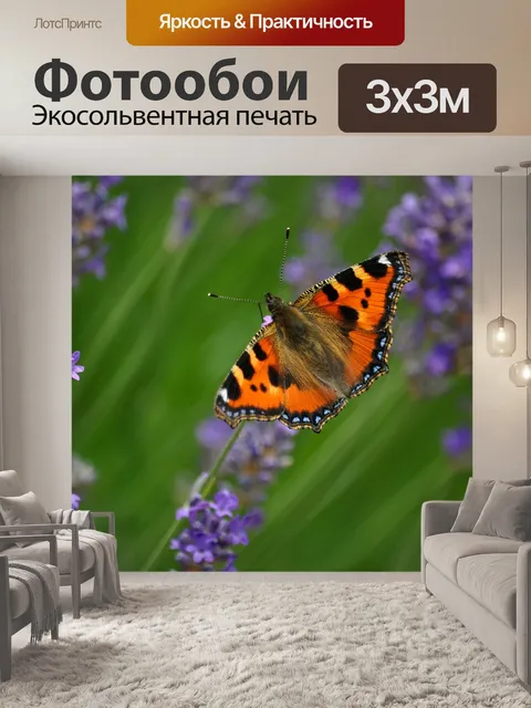 Фотообои Маленькая лиса
