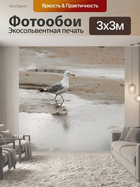 Фотообои Чайка