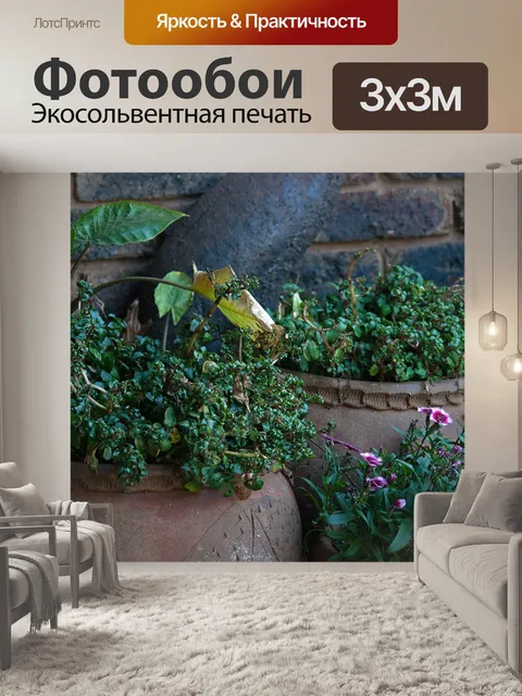 Фотообои Горшечные растения на веранде