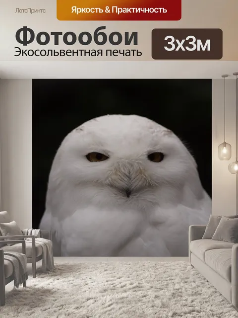 Фотообои Снежная сова