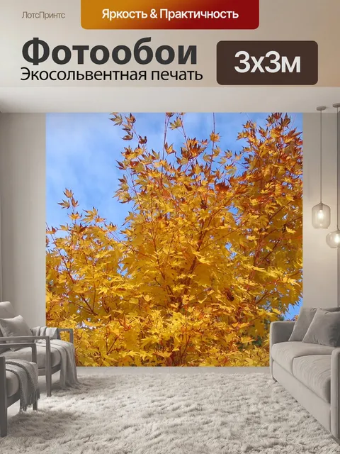 Фотообои Листья