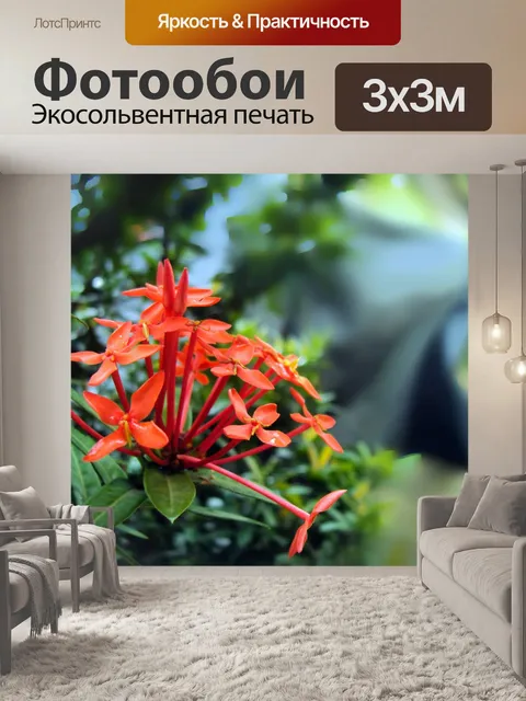 Фотообои Сантан цветок