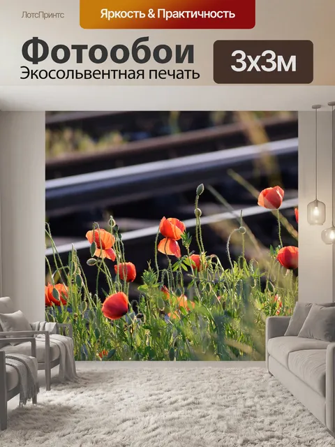 Фотообои Красный букет маков