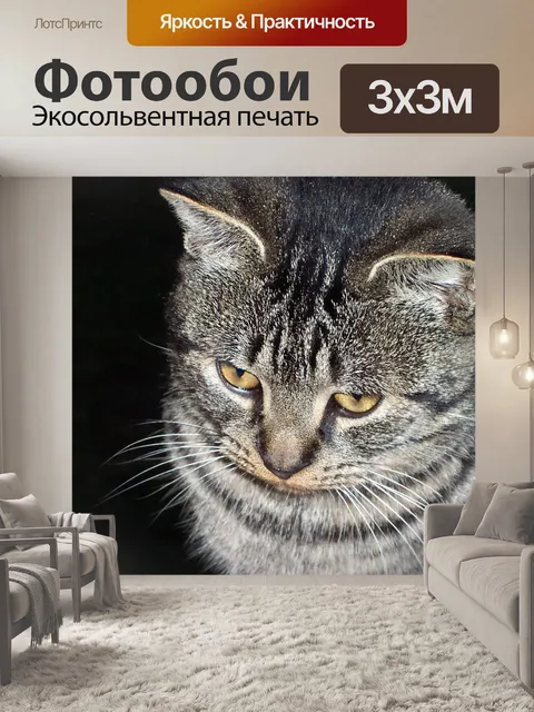 Фотообои Кошка