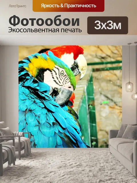 Фотообои Птица