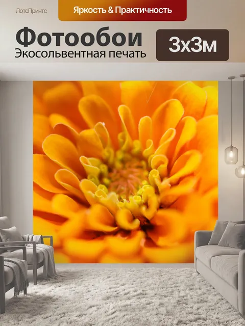 Фотообои красочный цветок макро выстрел