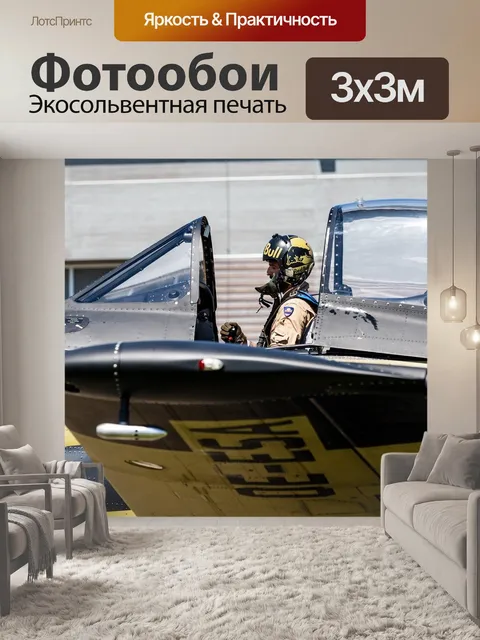 Фотообои Пилот