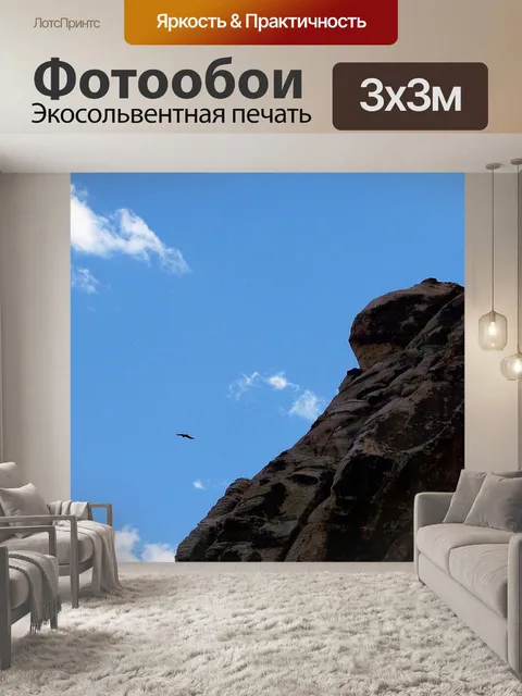 Фотообои Дрозд Flying