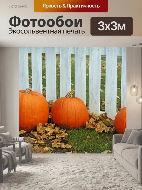 Фотообои Тыквы против Забор