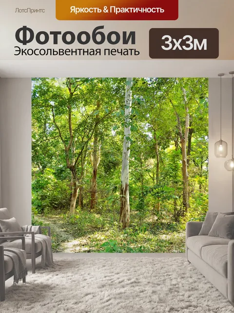Фотообои Деревья и листья 6