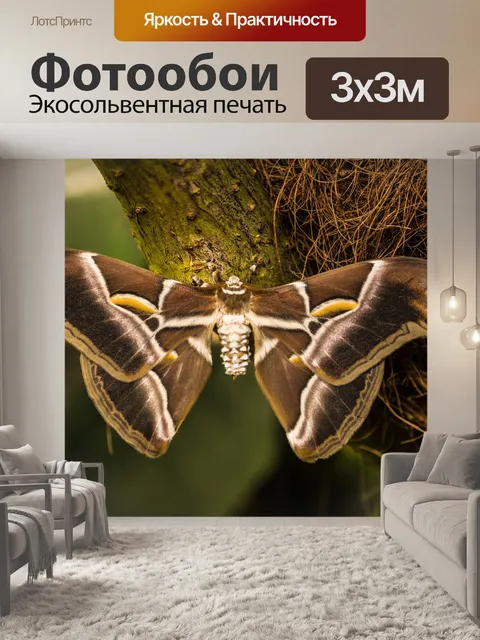 Фотообои Сад бабочек бенальмадена