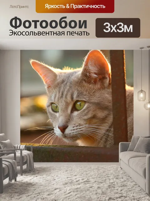 Фотообои Кот