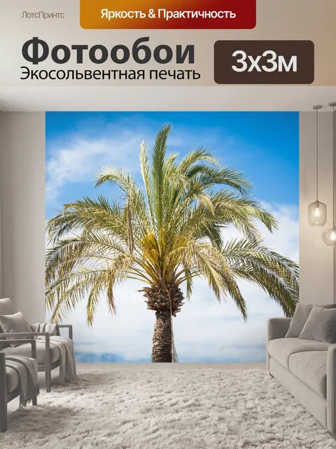 Фотообои Пальмы