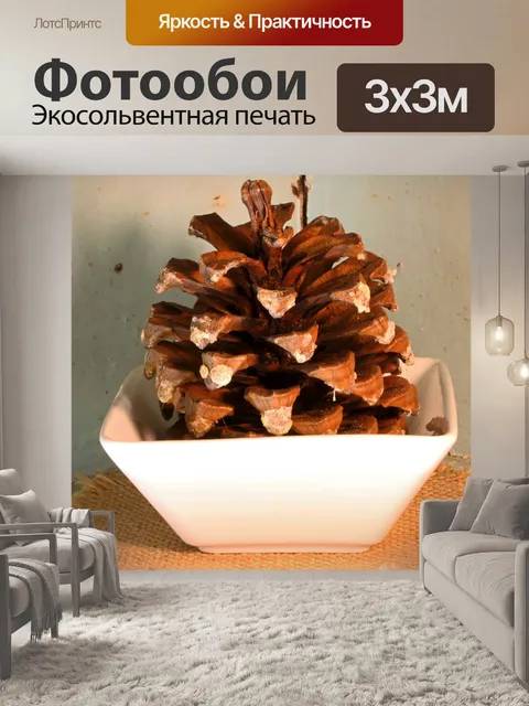 Фотообои шишка в белой фарфоровой миске