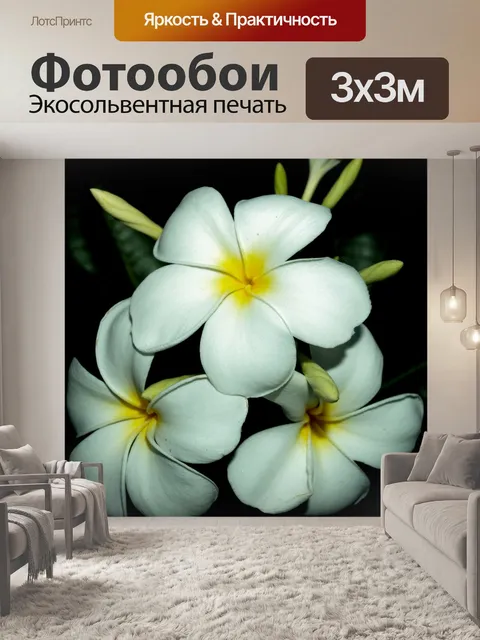 Фотообои Плюмерия Цветы