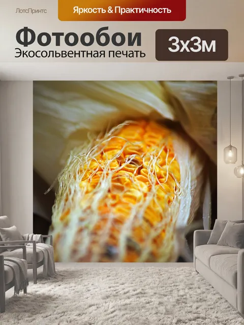 Фотообои кукуруза в початках все высохла