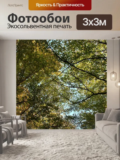 Фотообои Дерево