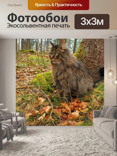 Фотообои Кот