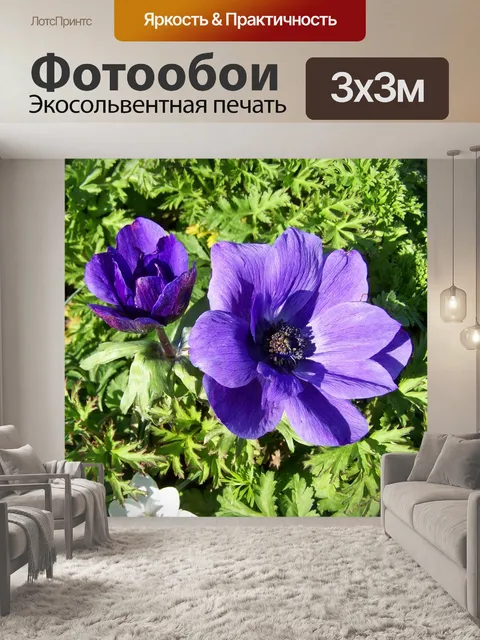 Фотообои Бриз роза