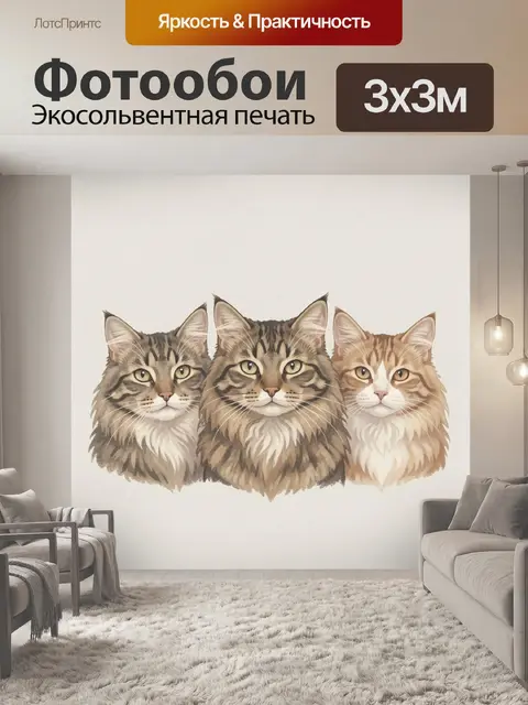 Фотообои Кошачья тройка с пушистыми мордочками