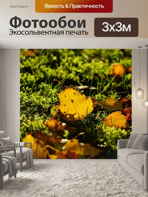 Фотообои Березовые листья
