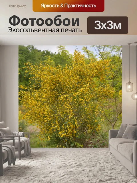 Фотообои Гены, желтые цветы