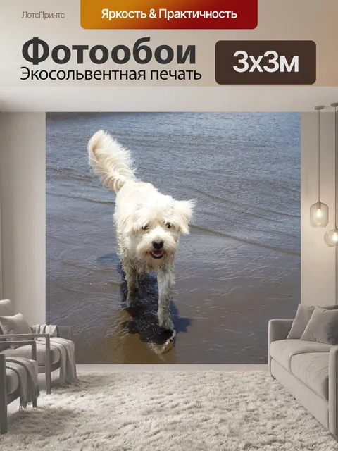 Фотообои Пляж собаки