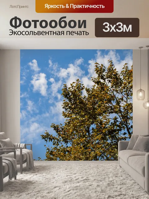 Фотообои Голубые небеса и белые облака