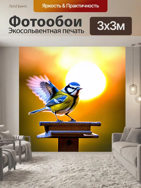 Фотообои на фоне восходящего солнца, маленькая лазоревка парит в воздухе, её перья сверкают в лучах света