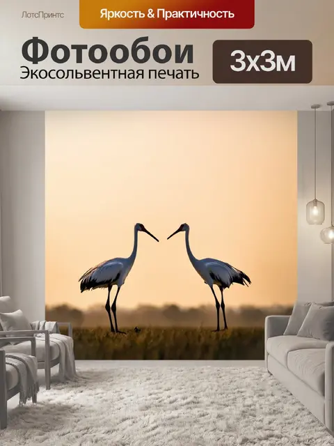 Фотообои журавли, танцующие на рассвете
