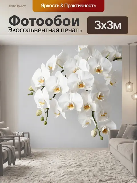 Фотообои Белые орхидеи на светлом фоне