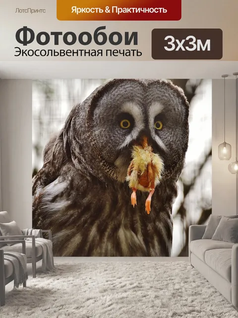 Фотообои Барт сова