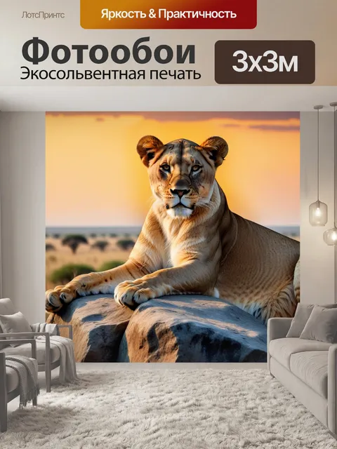 Фотообои львица, сидящая на скале с видом на саванну