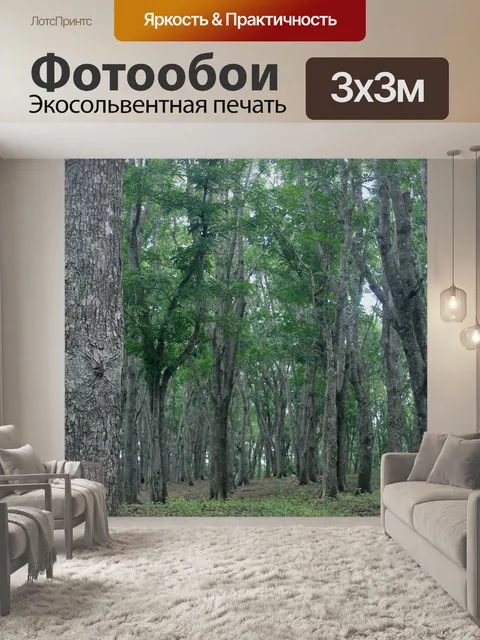 Фотообои Лес