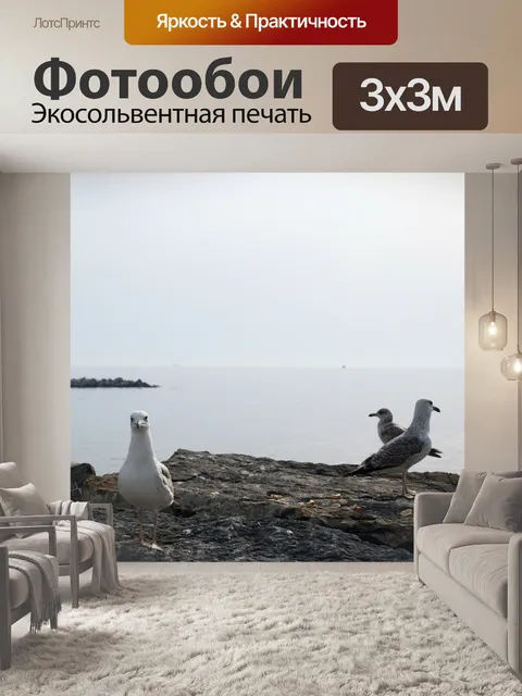 Фотообои Seagull