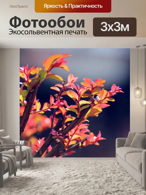 Фотообои Листы