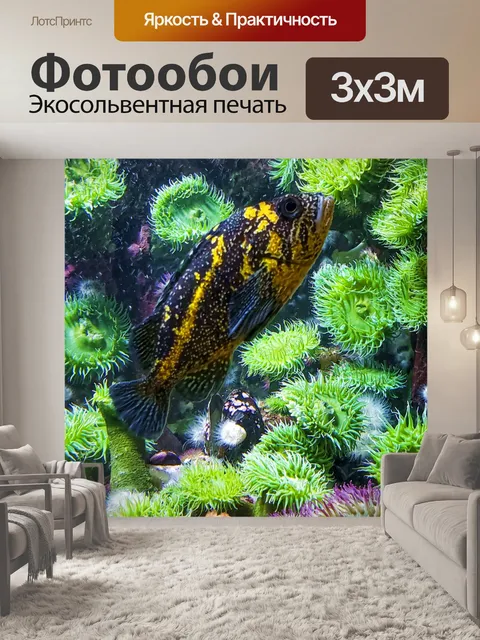 Фотообои морская рыба