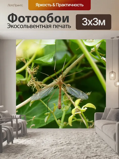 Фотообои Комар