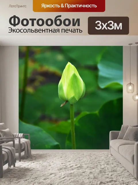Фотообои Золотой лотос