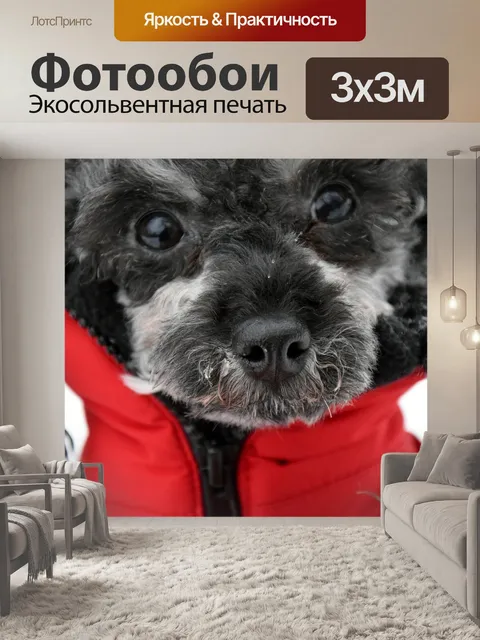Фотообои Собака