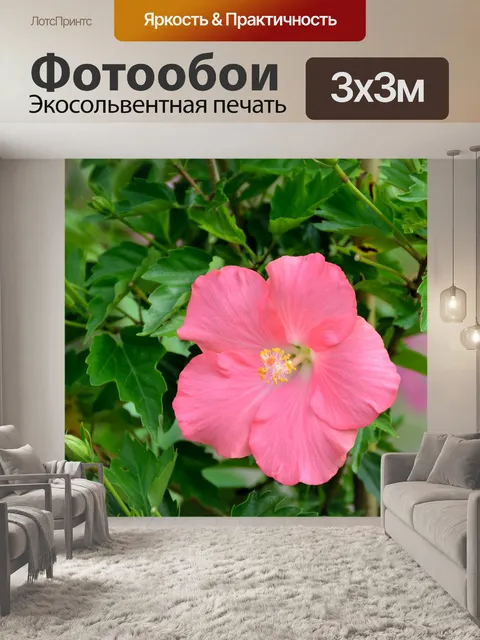 Фотообои Яркий розовый цветок гибискуса