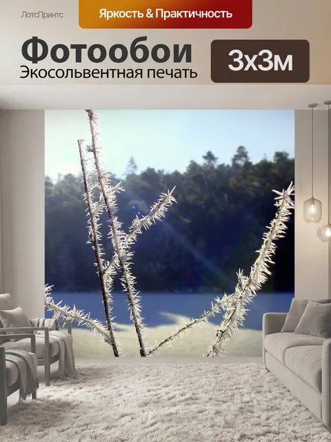 Фотообои Фрост