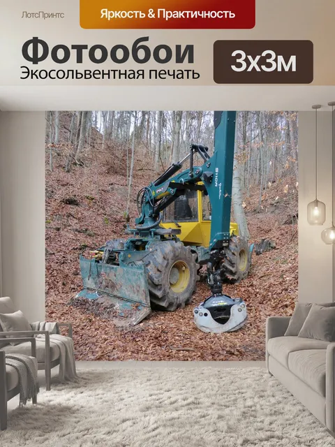 Фотообои Лес
