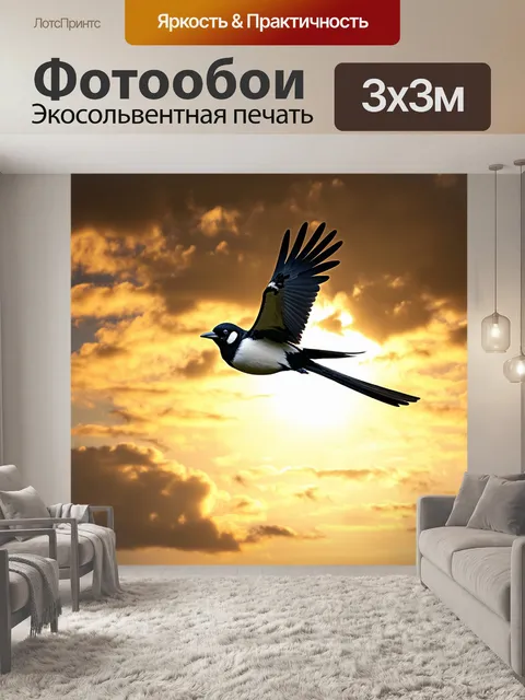 Фотообои сорока, парящая в небе на фоне золотых закатных облаков