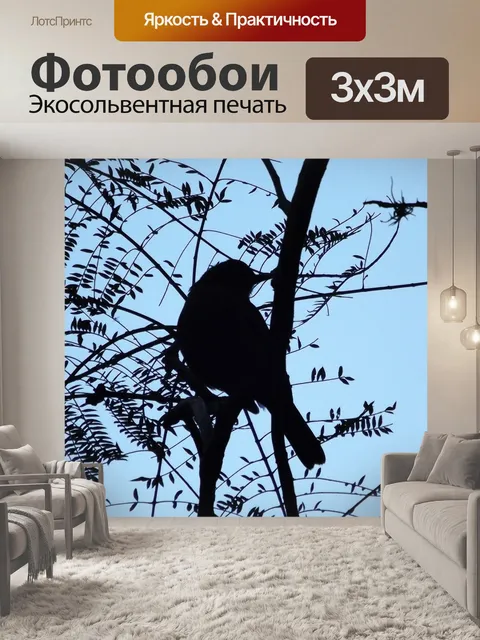 Фотообои Птица