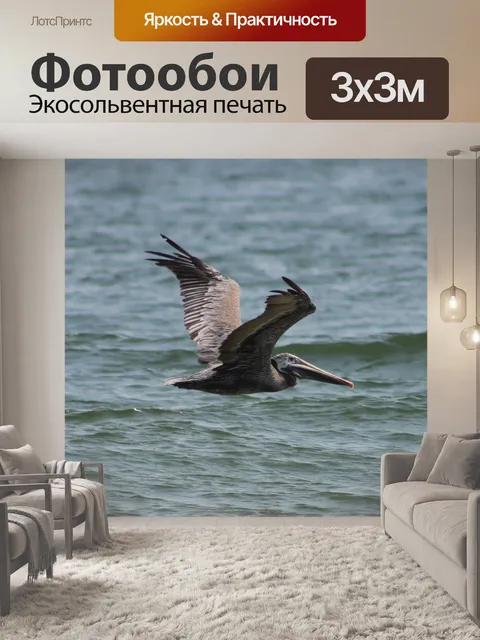 Фотообои чайка