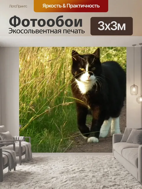 Фотообои Саймон